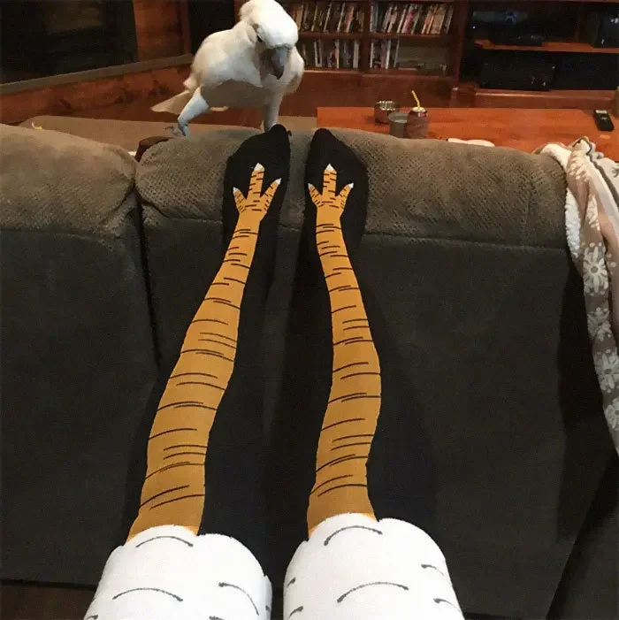 Calcetines hasta la rodilla de - Funny Chicken Leg Socks reseña y precio